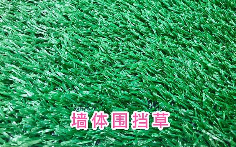 墻體圍擋草