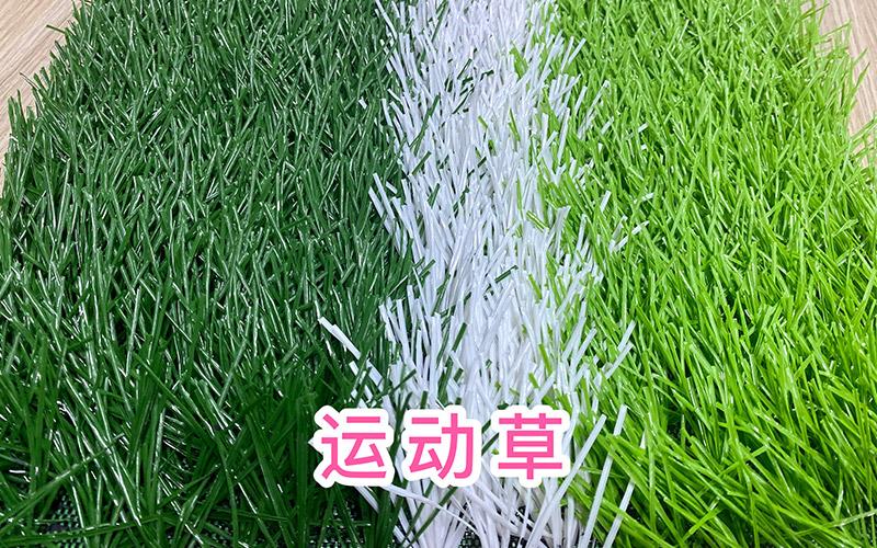運(yùn)動(dòng)草