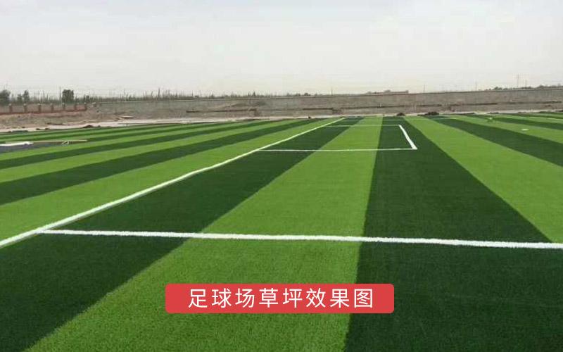 足球場草坪效果圖2