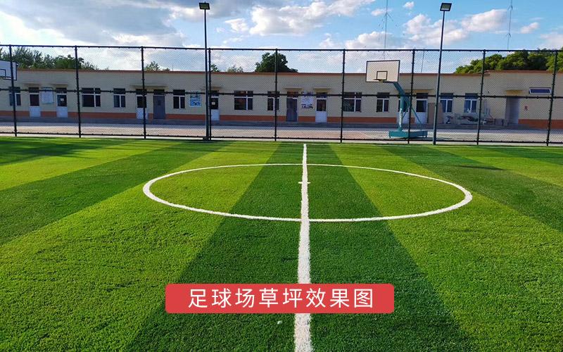 足球場草坪效果圖