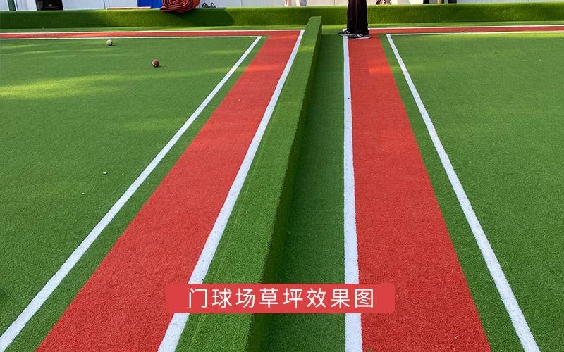 門球場草坪效果圖